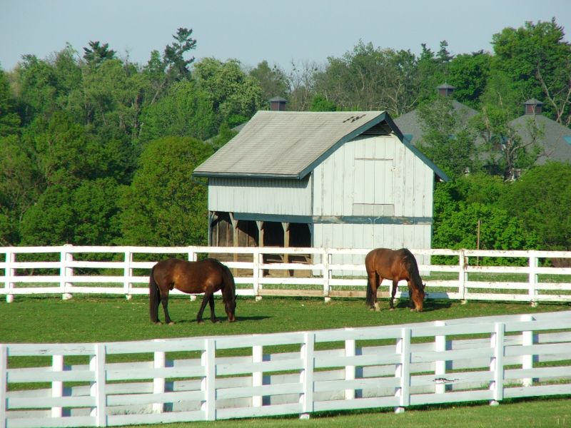 Horse Paddock Installation in South Houston, TX