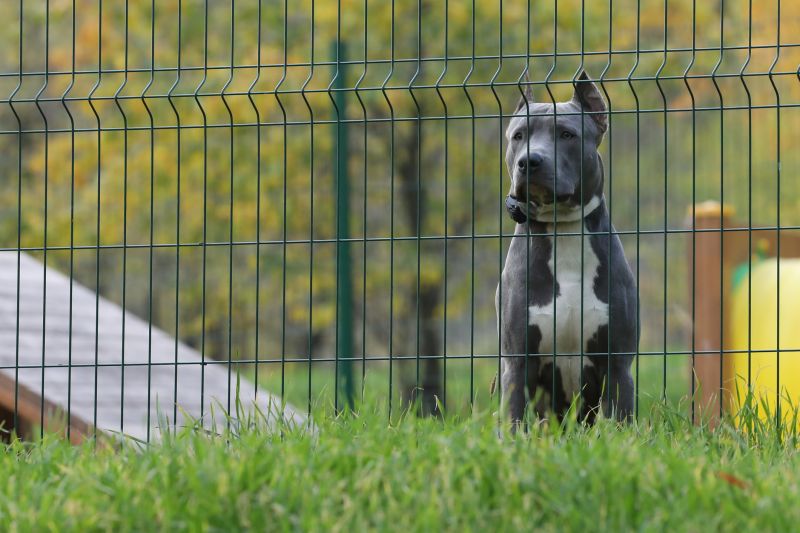 Pet Fence Repair