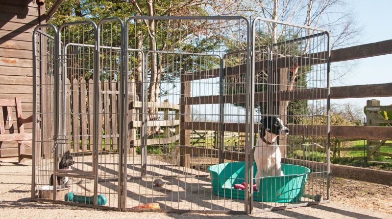 Pet Fence Repair