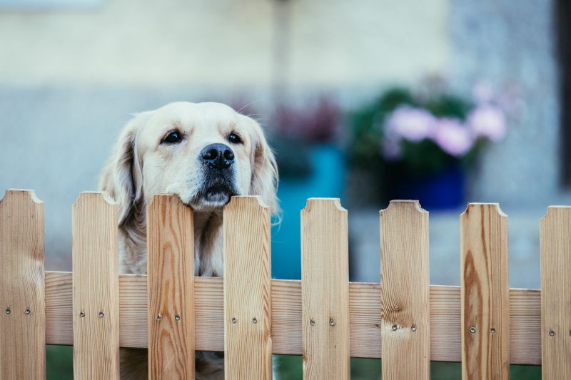 Pet Fence Repair