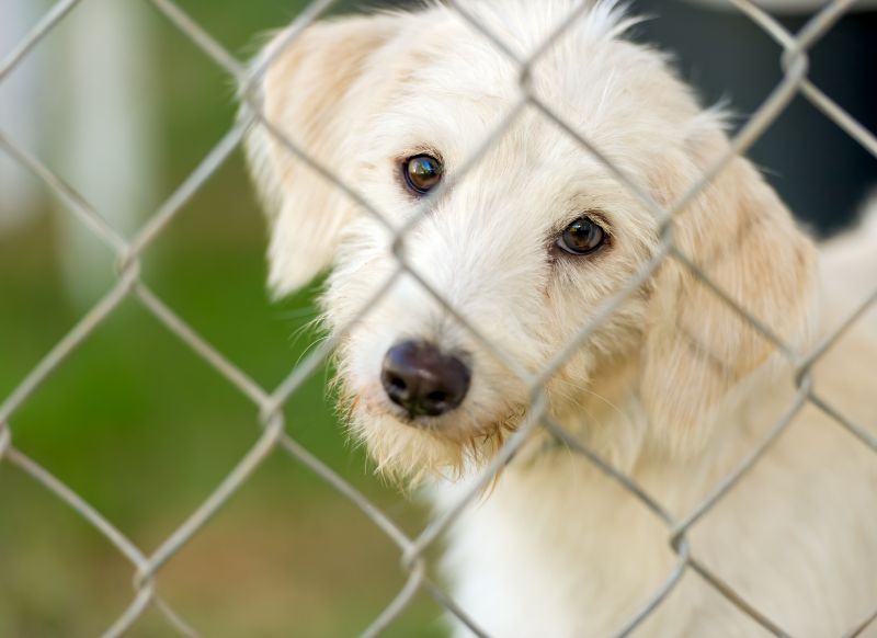 Customized Solutions